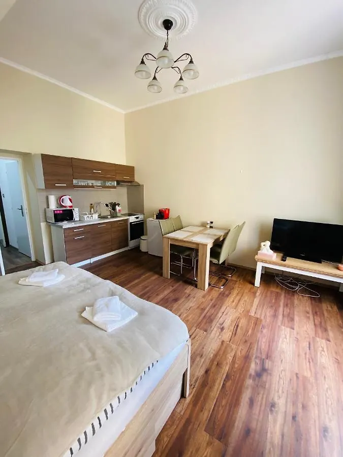Apartment Apartman Diana Karlovy Vary